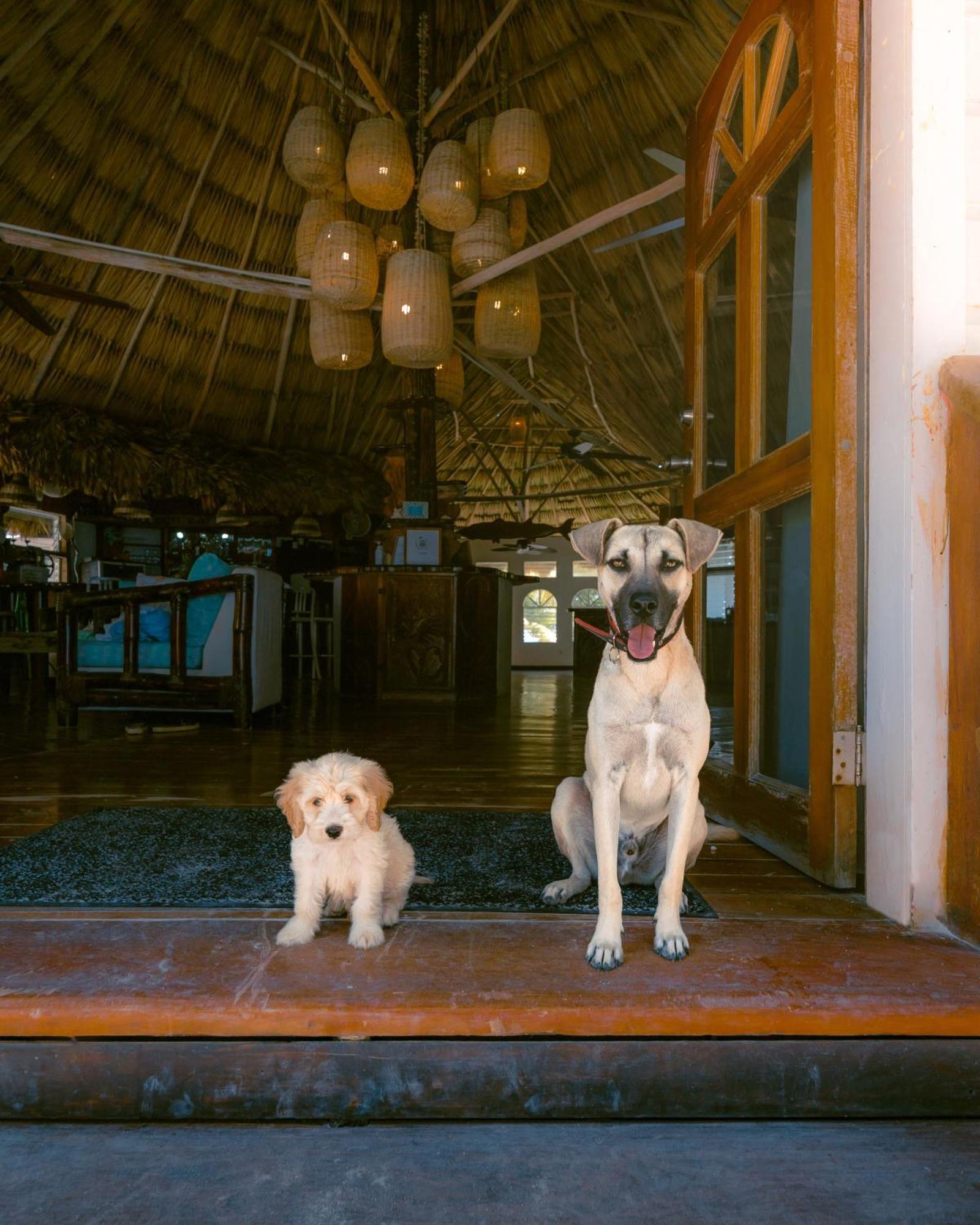 Thatch Caye Resort A Muy'Ono Resort Хопкінс Екстер'єр фото